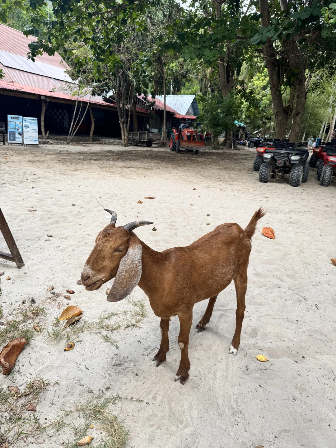 Экскурсия хорошая, насыщенная и интересная. Организовано все чётко, заранее сообщили расписание, забрал автобус как было запланировано