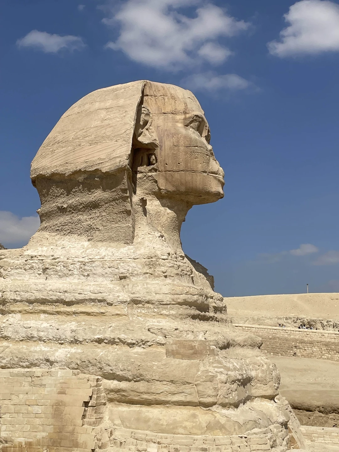 Большое спасибо за экскурсию, все очень понравилось!