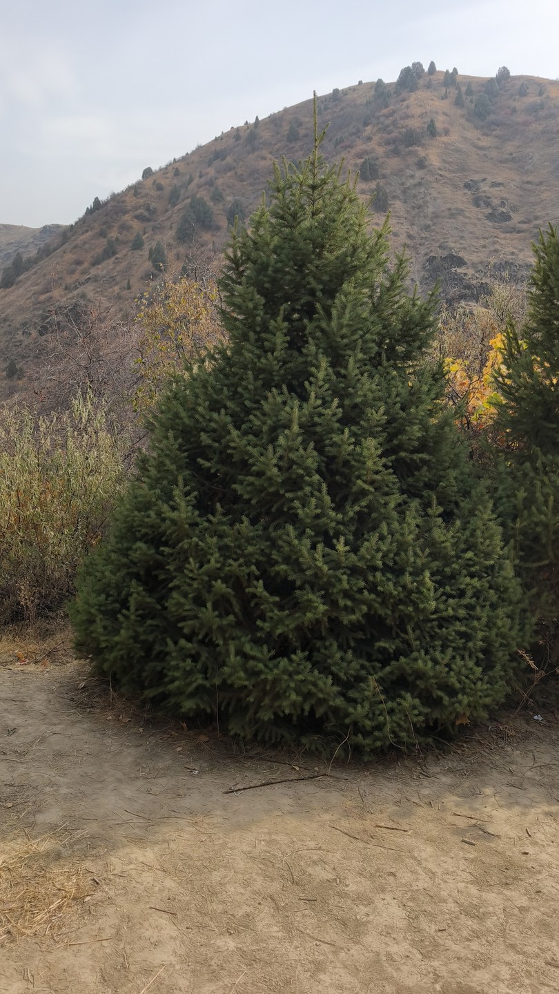 В Узбекистане не в первый раз и давно хотели попасть на эту экскурсию. Проведена она была