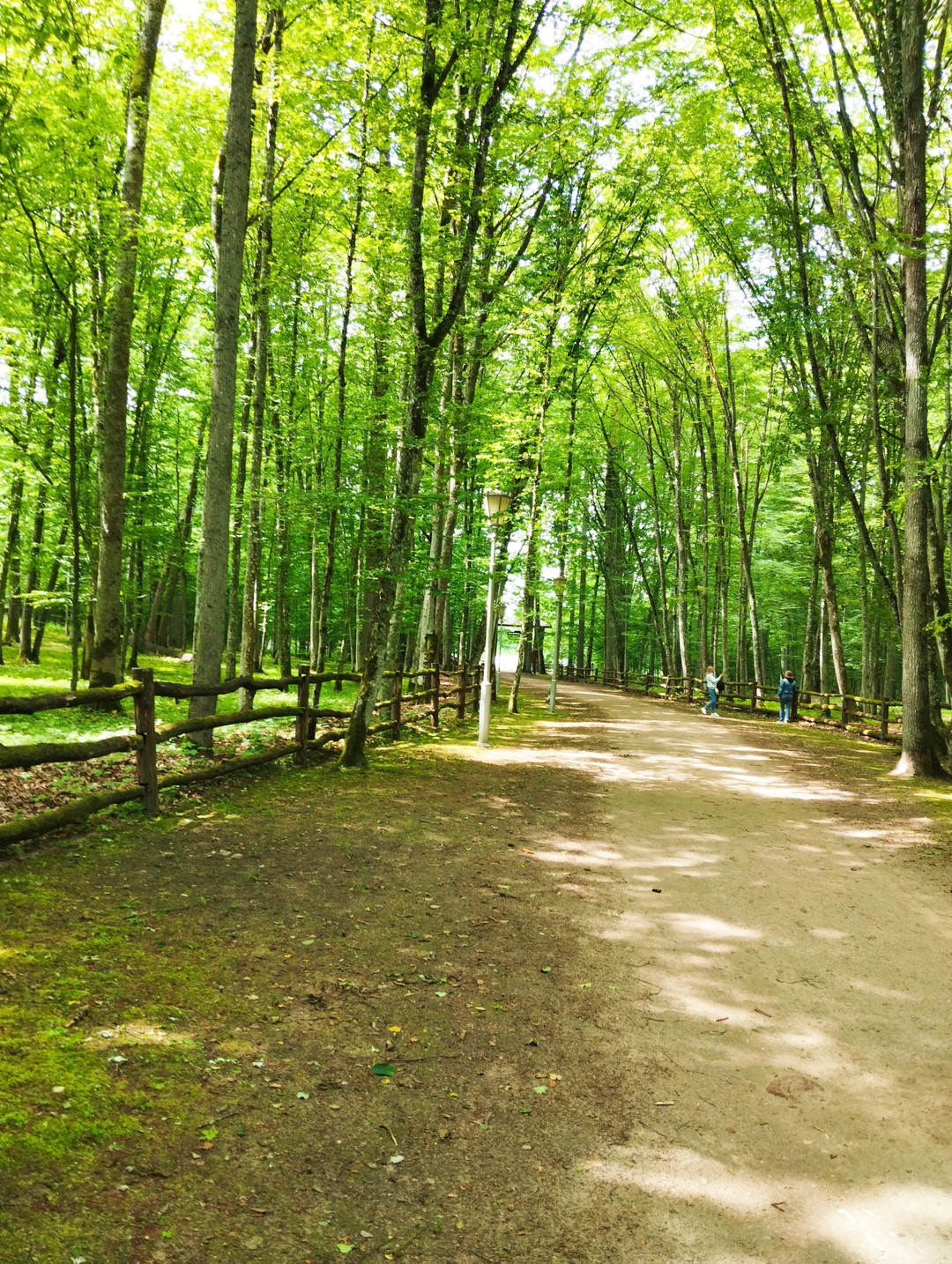 Беловежская пуща по выходным и праздникам (Наталья)