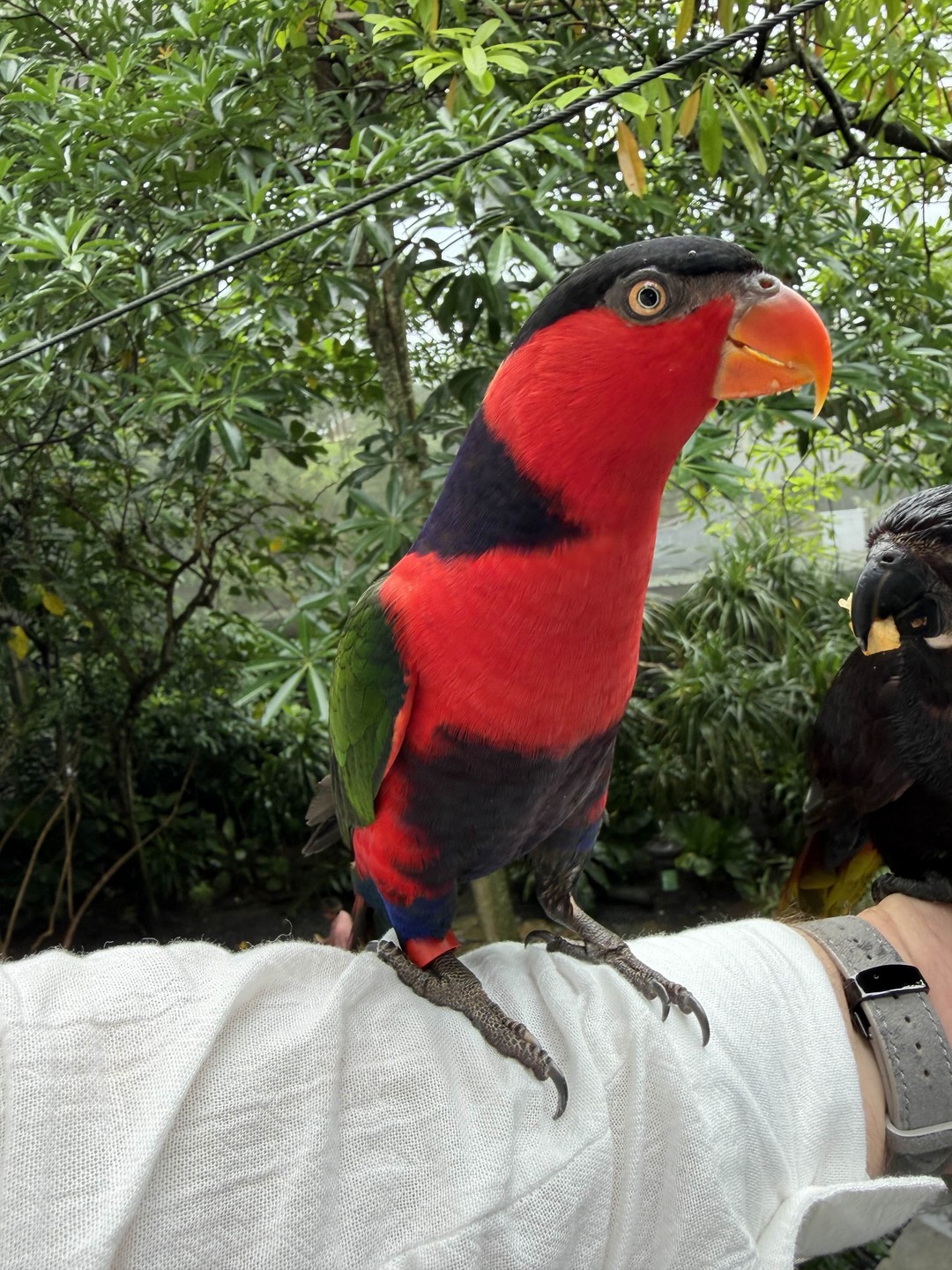 Балийский калейдоскоп (IAROSLAV)