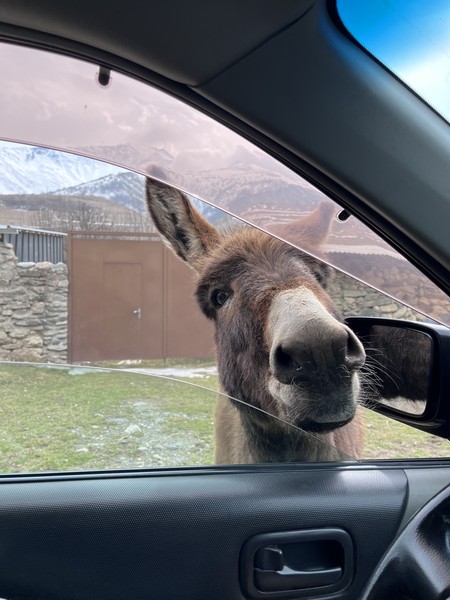 Сегодня были на данной экскурсии, гид Артур мастер своего дела,эрудированный,пунктуальный,вежливый,крайне увлекательно повествует о своей родине и