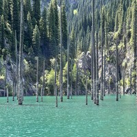 Фото отзыва 4: экскурсия "Озёра Каинды и Кольсай, Черный и Чарынский каньоны — все сокровища Алматы"