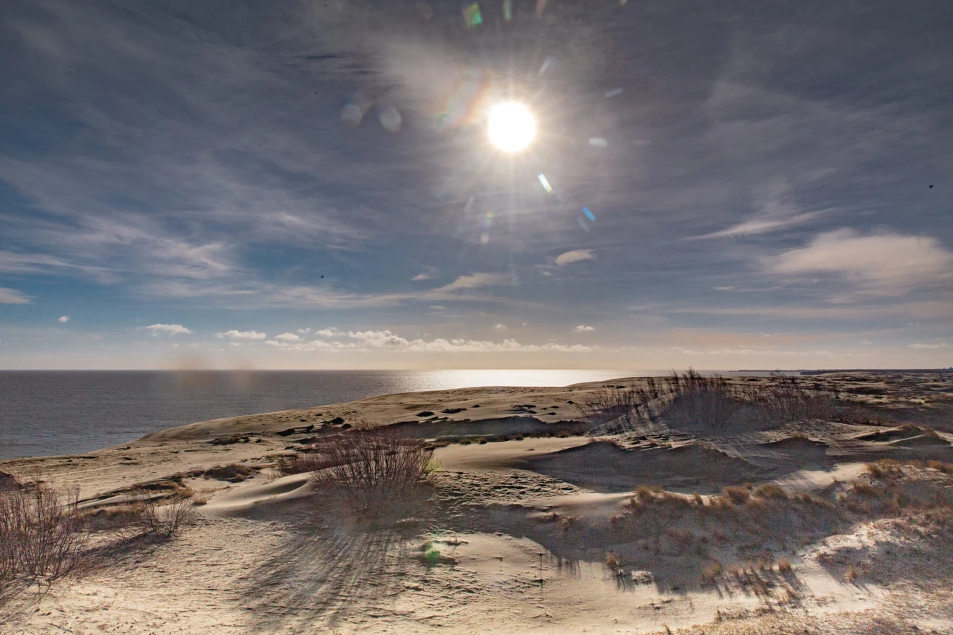 На Куршскую косу! Танцующий лес, Высота Эфа + сыроварня «Шаакен Дорф»