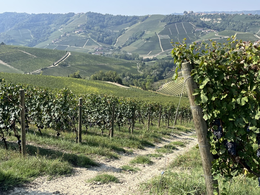 Незабываемая поездка! Ольга большой профессионал! Смело рекомендую!