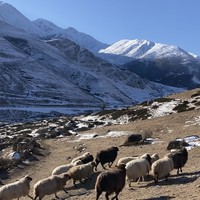 Фото отзыва 4: экскурсия "Джип-путешествие в «волшебную страну» Приэльбрусье"
