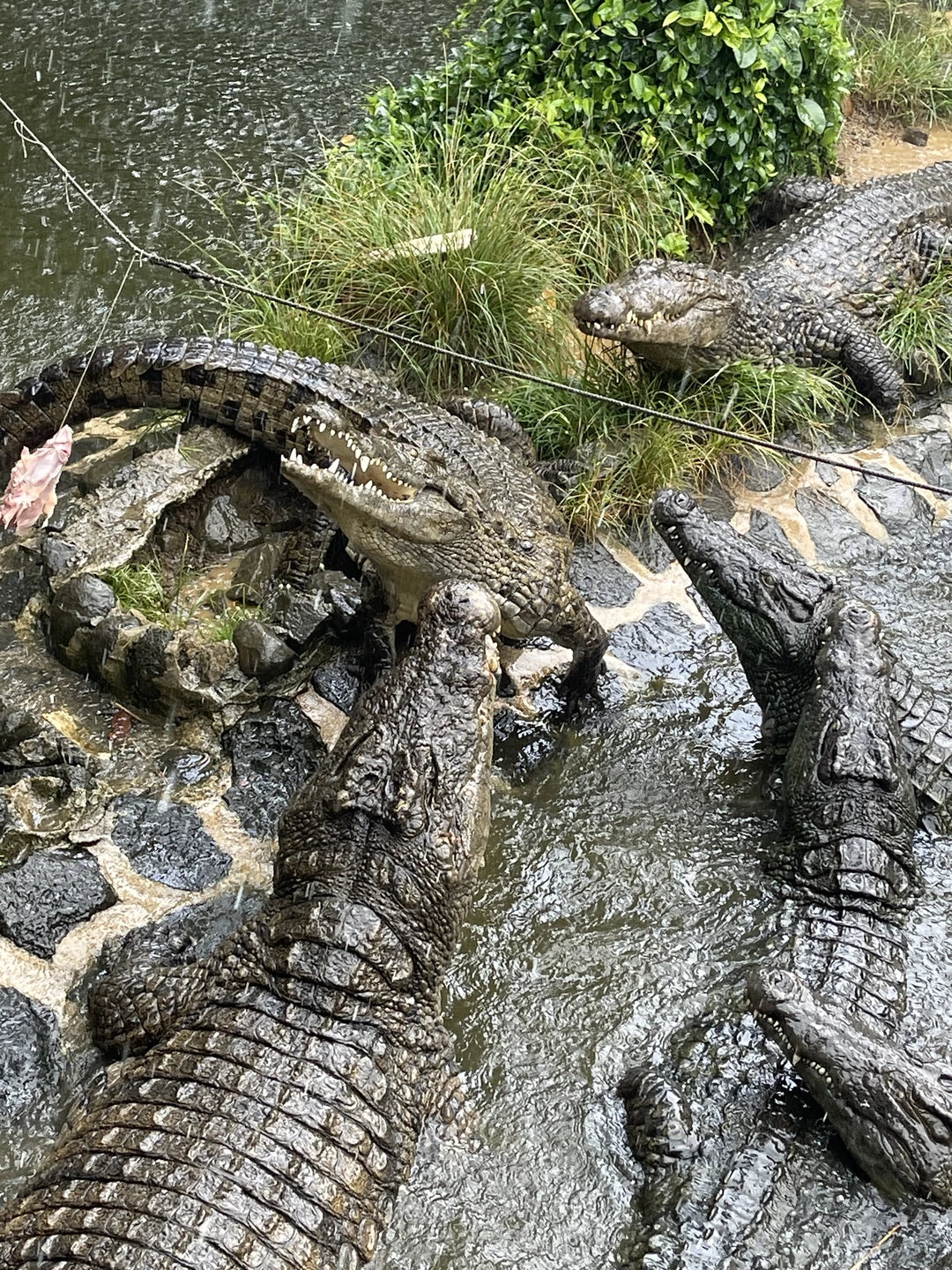 Все прошло просто шикарно. Рекомендую!