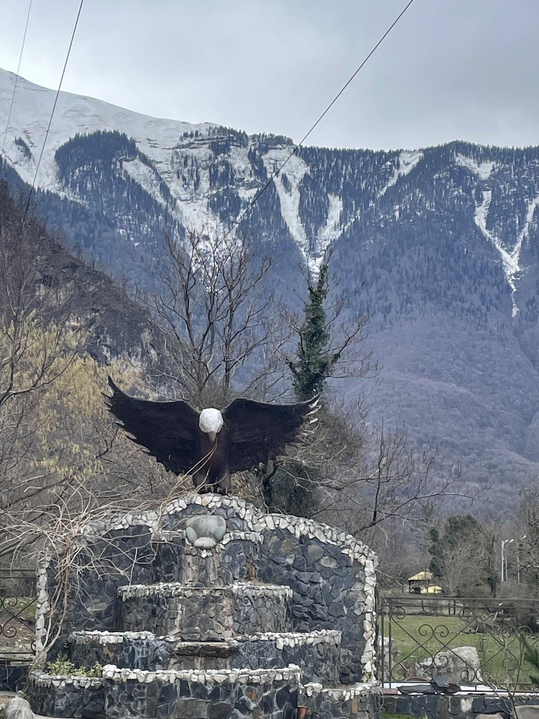 Отправилась на экскурсию из Адлера. В целом гид хорошо владеет информацией, рассказывает интересно. Предложили за доплату