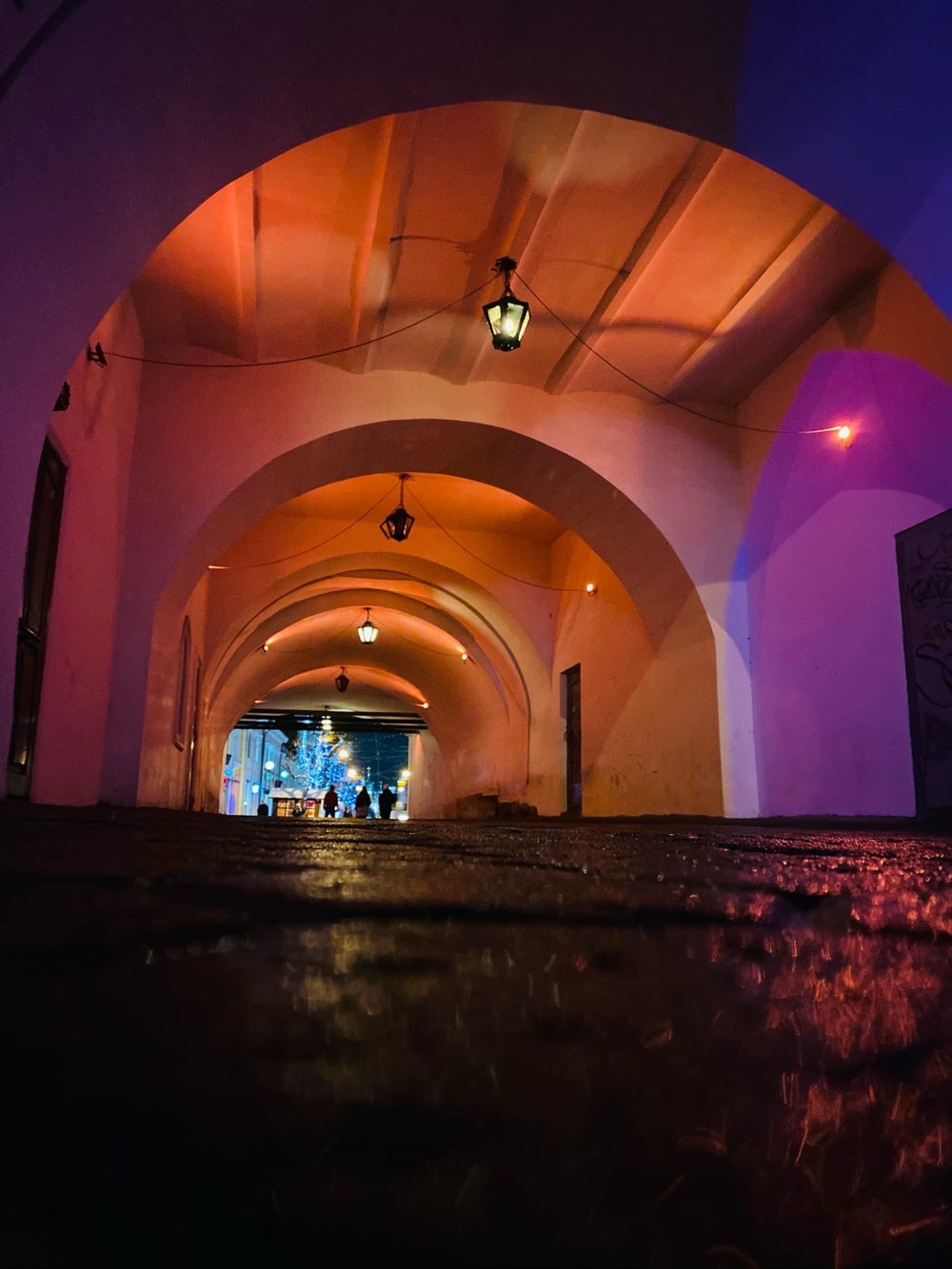 Ярославль купеческий: тайны и традиции (8/10)