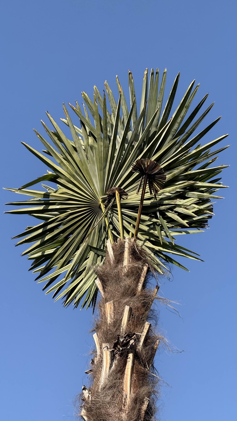 С Дмитрием было очень весело и познавательно. Хочется отметить, что он никуда не торопился и мы