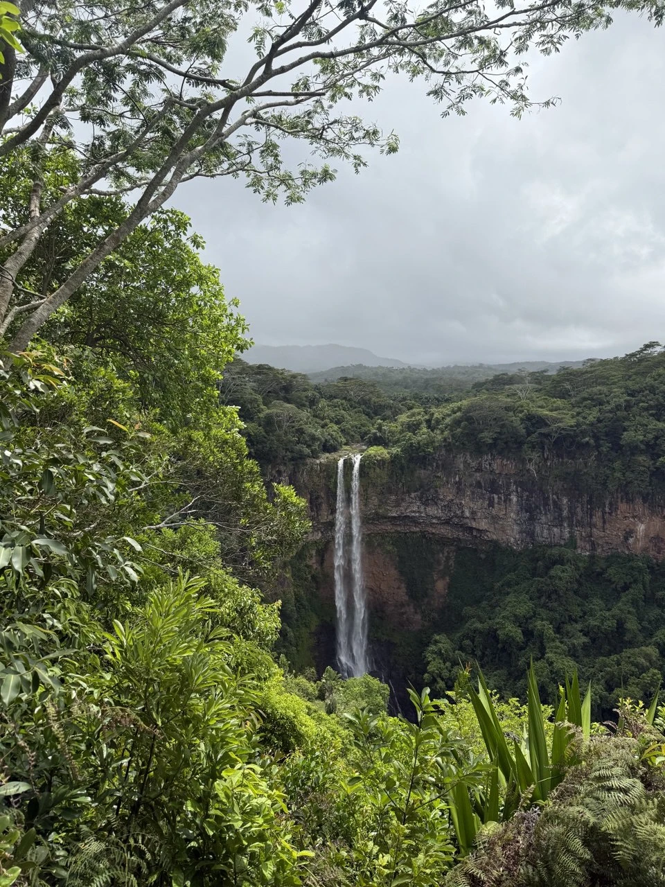 Чудеса природы на юге Маврикия (Елена)