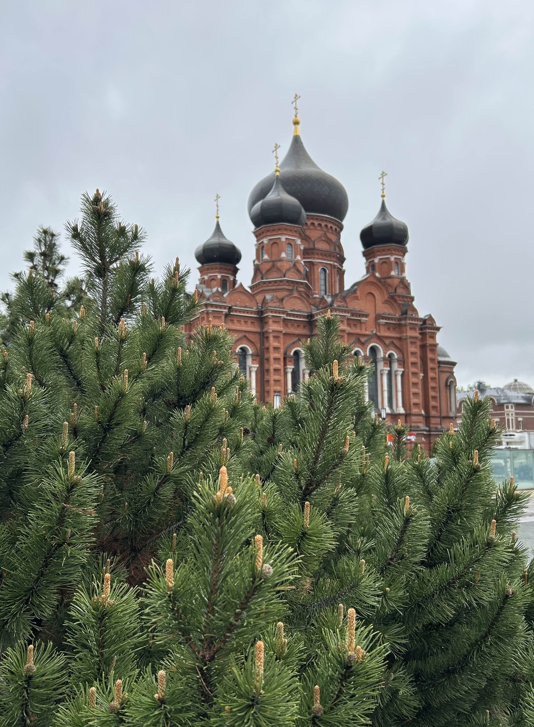О Туле - на прогулке по Старому городу (Светлана)