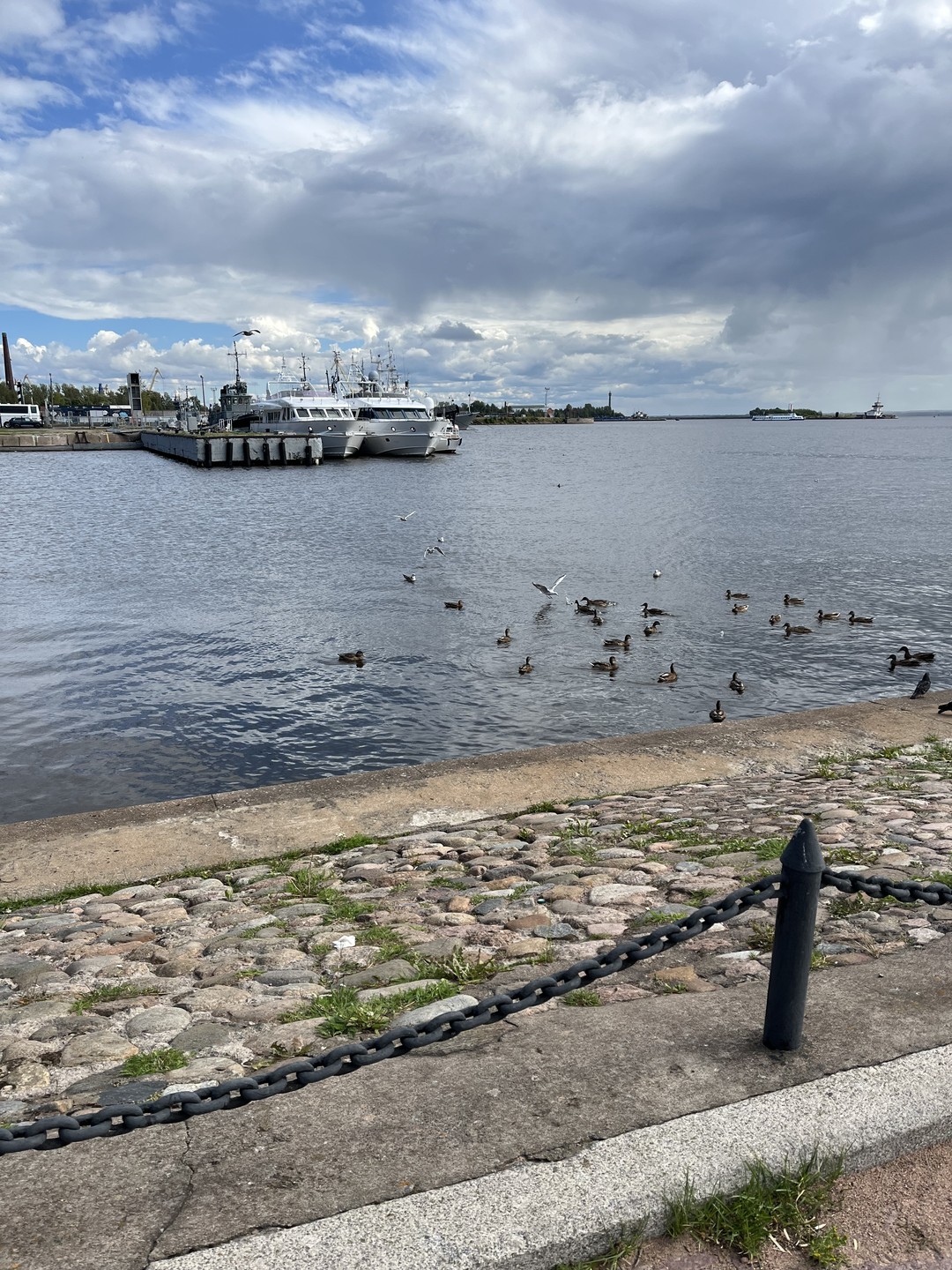 Мегатур 2 в 1: в Кронштадт и Петергоф по воде на скоростных судах (Елизавета)