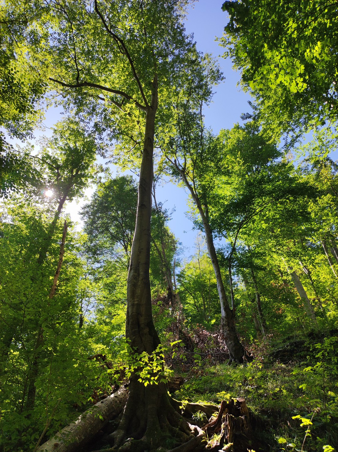 Я очень рада, что выбрала этот тур, для меня это был идеальный баланс спокойствия и активности!