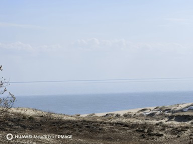 Фото отзыва 2: экскурсия "Утренняя Куршская коса, Зеленоградск и замок Нессельбек на автобусе"