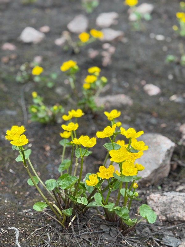 Виды Три водопада и окрестности Мурманска