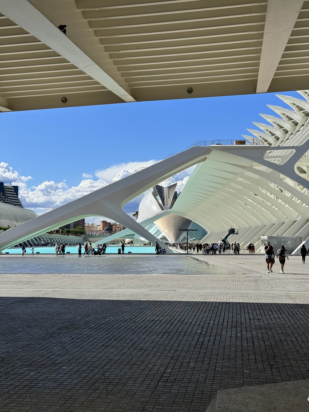 Отличная экскурсия! Помимо классного материала, Михаил с женой очень приятные люди. Очень приятно было пообщаться. Рассказали