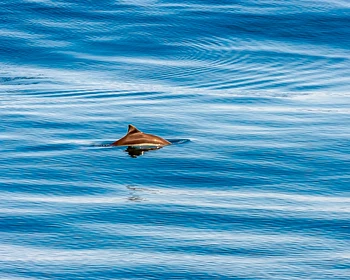 Окончание тура