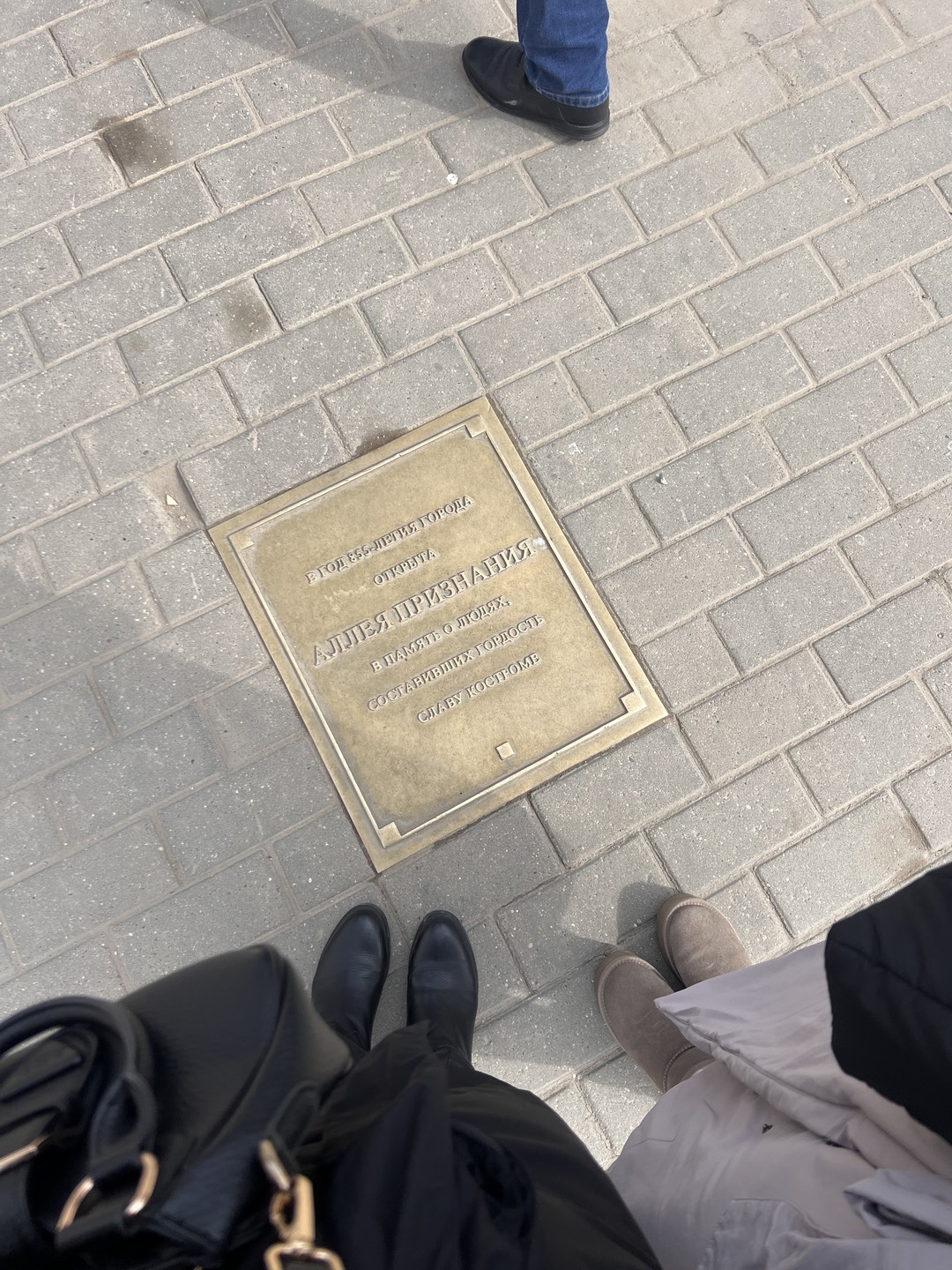 Добро пожаловать в Кострому (Ирина)