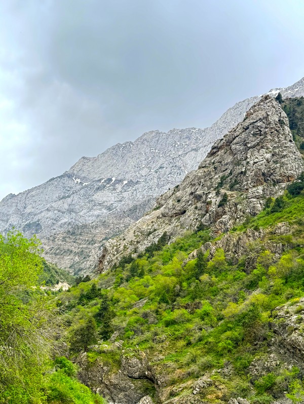4 в 1: Амирсой, Чимган, Чарвакское водохранилище и винодельня