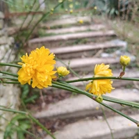 Фото отзыва 1: экскурсия ""