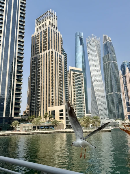 Нашим гидом был Али. Очень-очень все понравилось!! 🙏🏼🩵