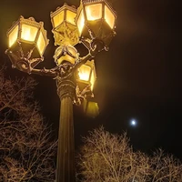 Фото отзыва 1: экскурсия "Фонари ночного Петербурга — прошлое, настоящее, будущее"