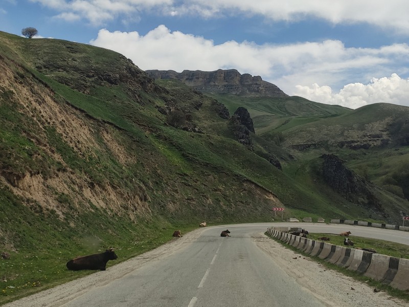 Виды Перевал Гумбаши, Шоанинский храм и термальные источники за 1 день (из Железноводска)