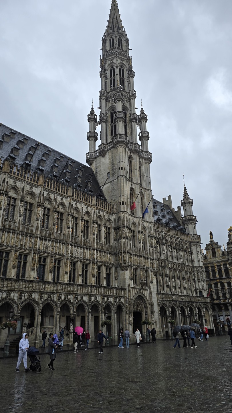 История Брюсселя с XV века до наших дней (Наталья)