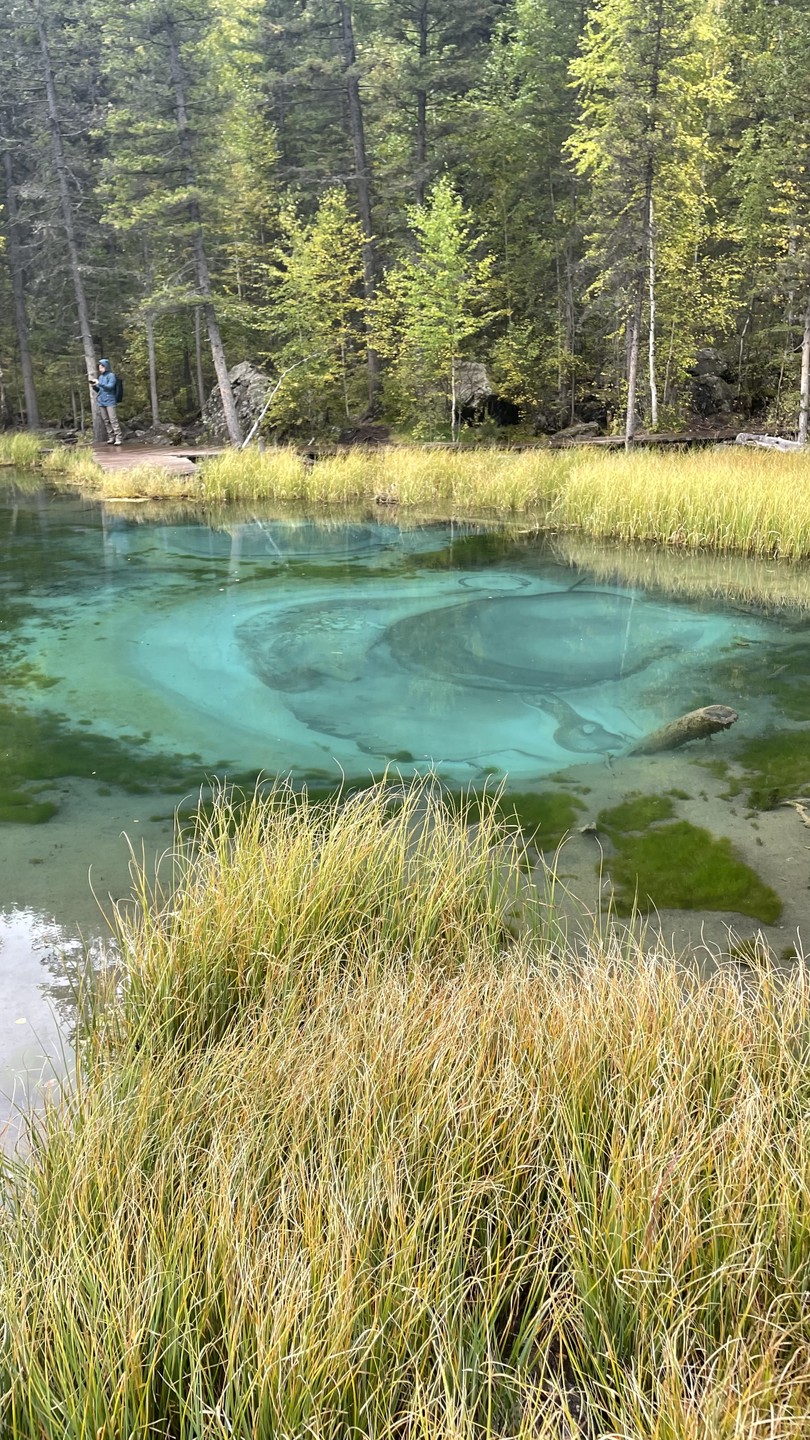 Алтай по максимуму: горные перевалы, прогулка по Телецкому озеру и высадка на Марсе (Вышинская)