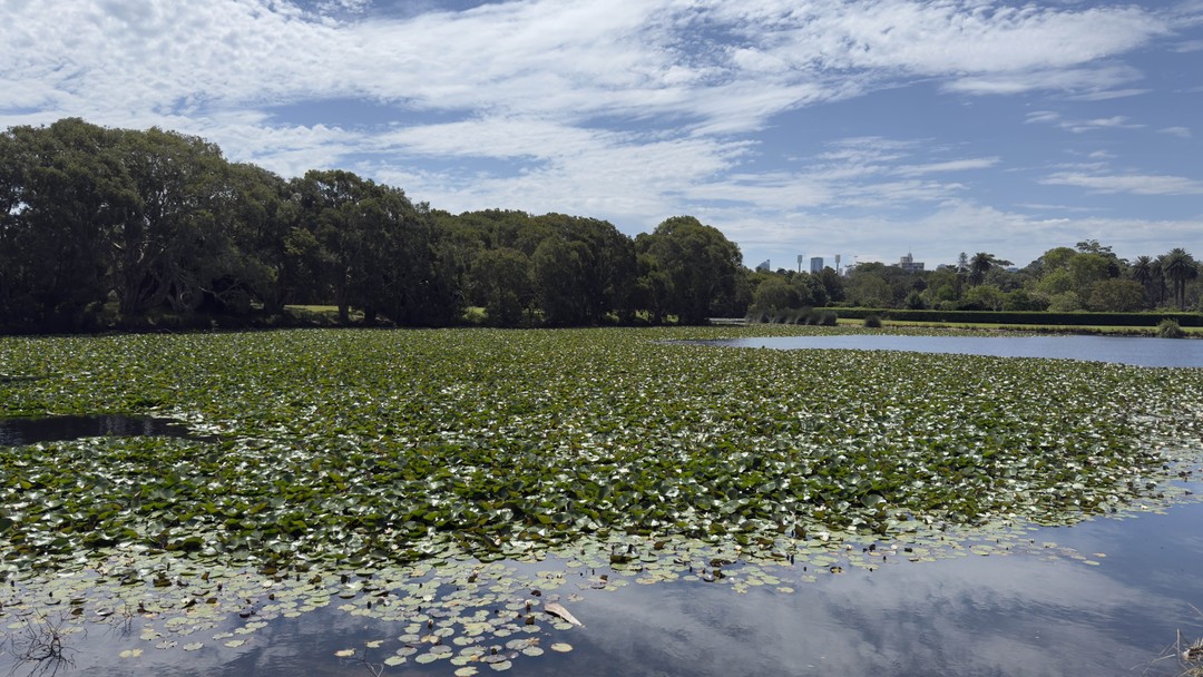 Сегодня у нас была обзорная экскурсия, которую проводила Наталья, коллега Андрея. Очень приятная женщина, учла наши