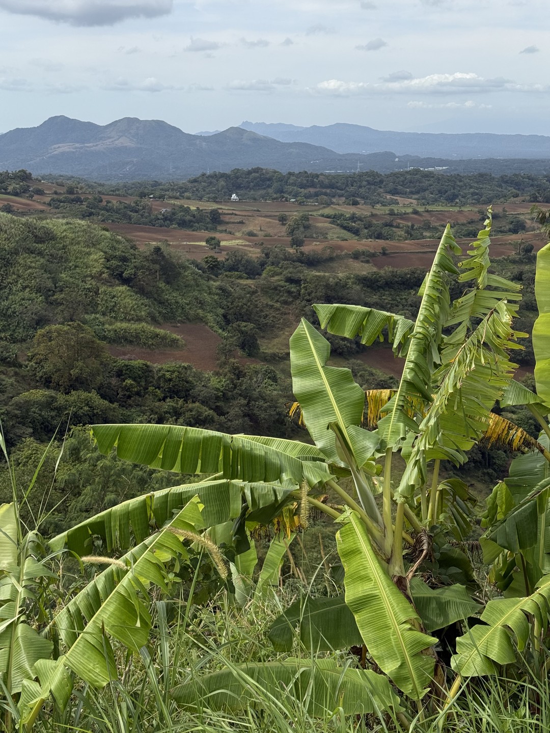 Евгению огромное спасибо, всё чётко организовано. Ездили на экскурсию по острову Лусон, всё что заявлено в