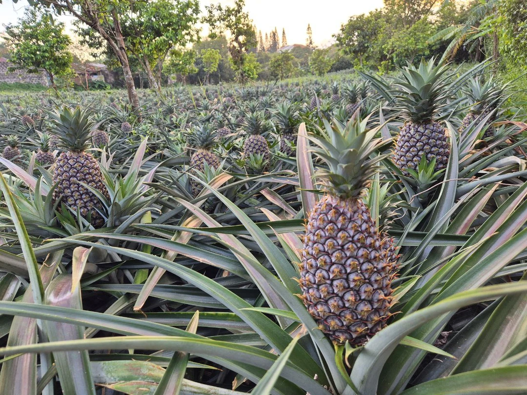 Сегодня был невероятный день благодаря Тахиру) Экскурсия эмоционально насыщенная, зрелищная, оставляющая море положительных эмоций. Начнем с