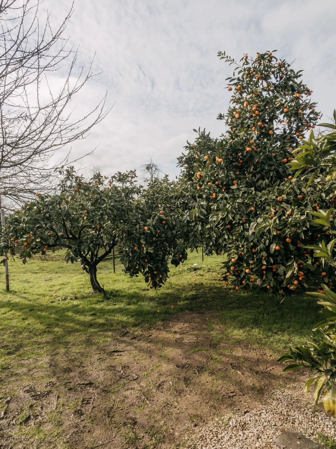 Отличная экскурсия. Посетили много красивых мест. Везде было время на прогулку, и самостоятельное исследование места. Приятный