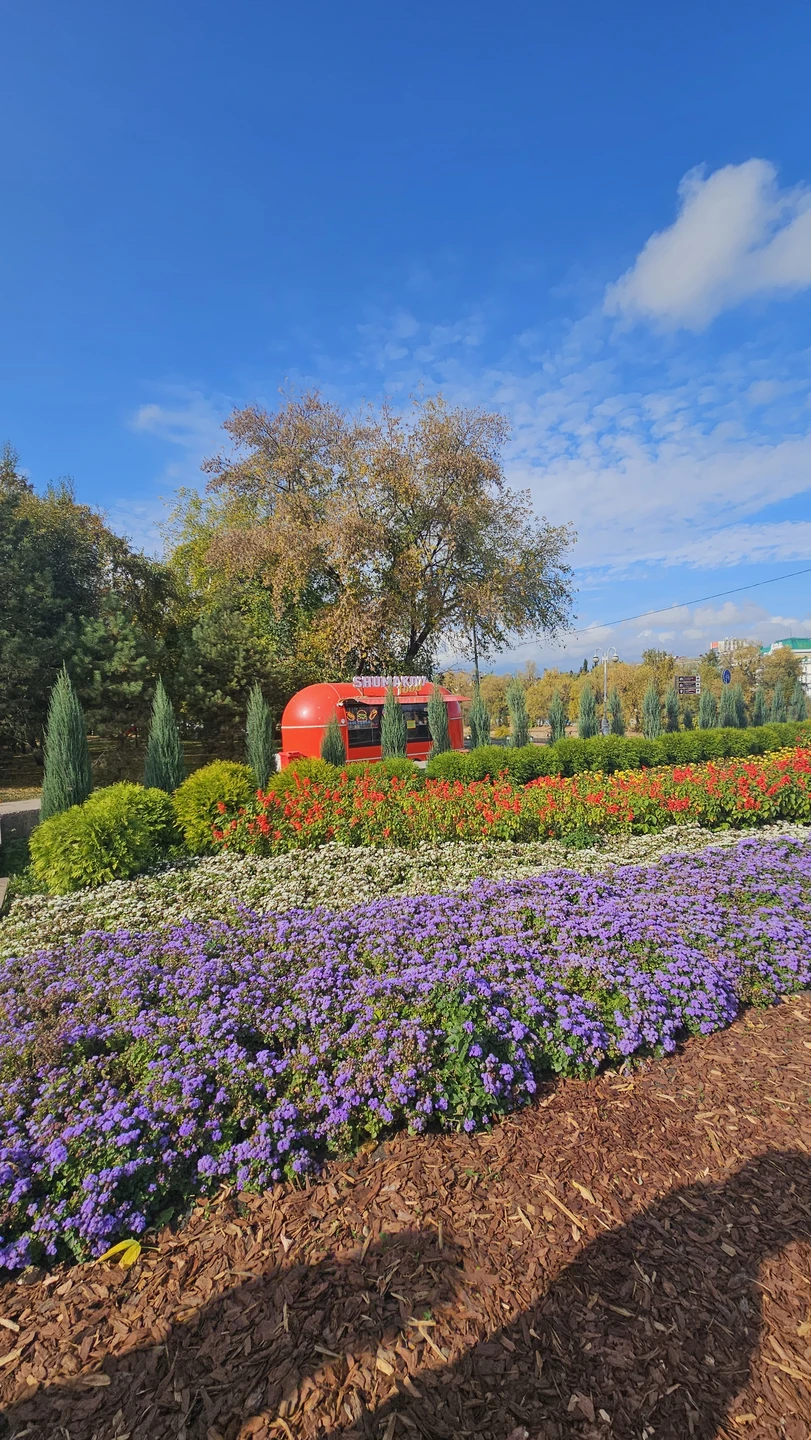 Спасибо Алексею за прекрасные 2 часа в гостеприимном Омске! Если приезжаете в Омск, искренне рекомендую посетить