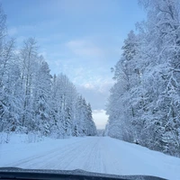 Фото отзыва 2: экскурсия "«Значит, в Карелии ты очутился»: автопутешествие из Петрозаводска"