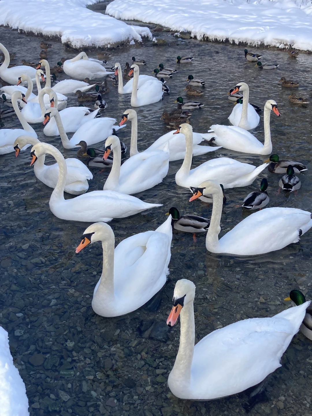 Автобусная экскурсия из Пскова в Изборск и Печоры (Татьяна)