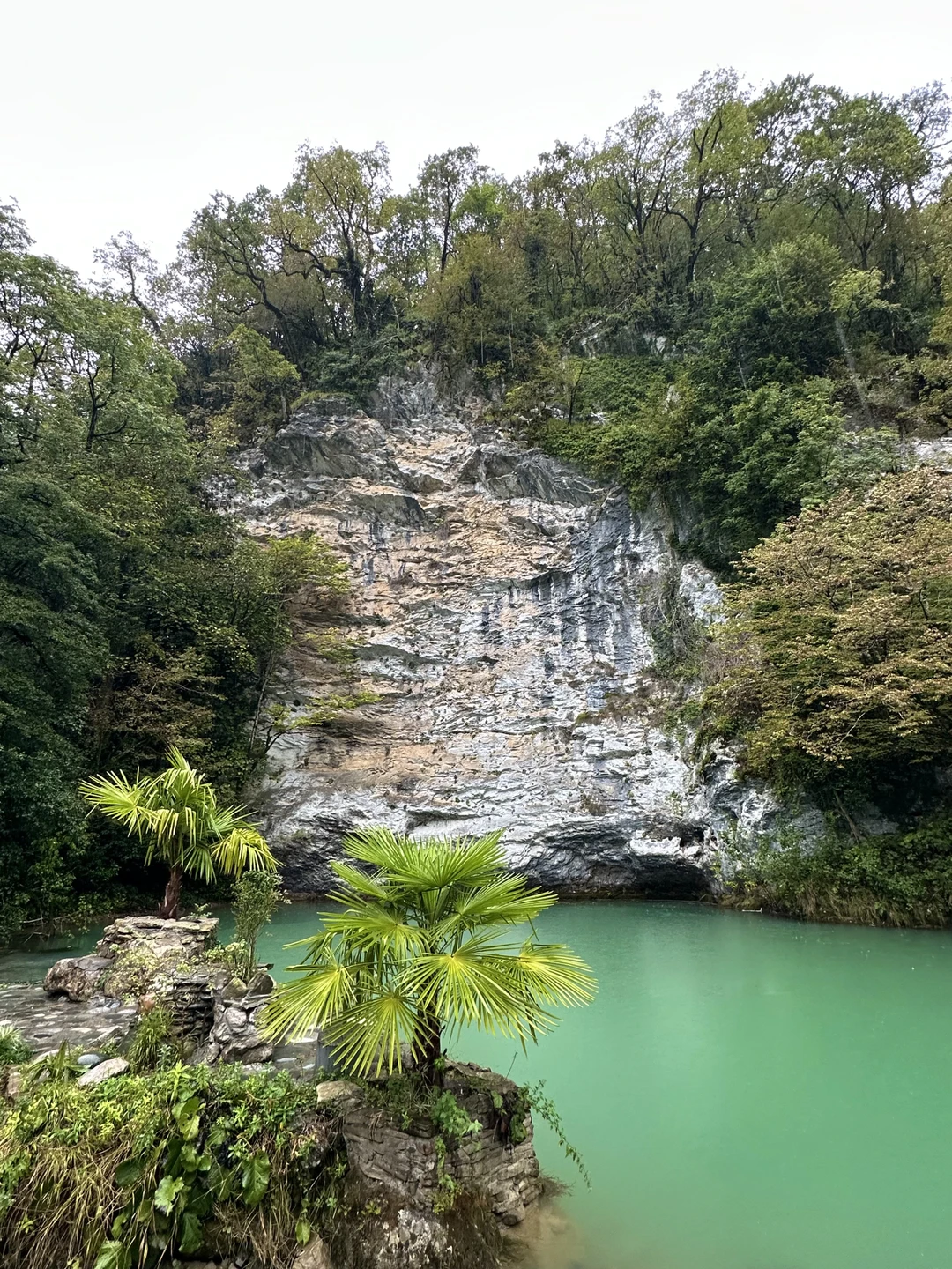Ой, ну, какое это было чудесное путешествие! Адгур - невероятный! В момент настраивается на вашу волну