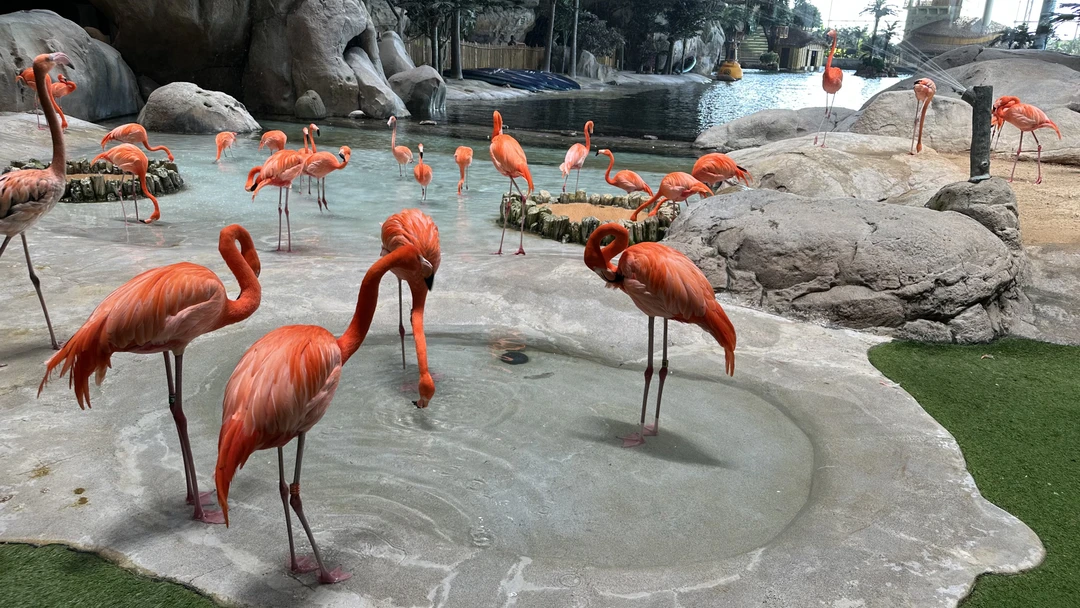 Брали на 3-х человек данную экскурсию. Экскурсию проводил гид=водитель Фируз на новом автомобиле Киа Карнивал. Забрал