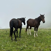 Фото отзыва 1: экскурсия "Кавказ на ладони: поход на Бзерпинский карниз"