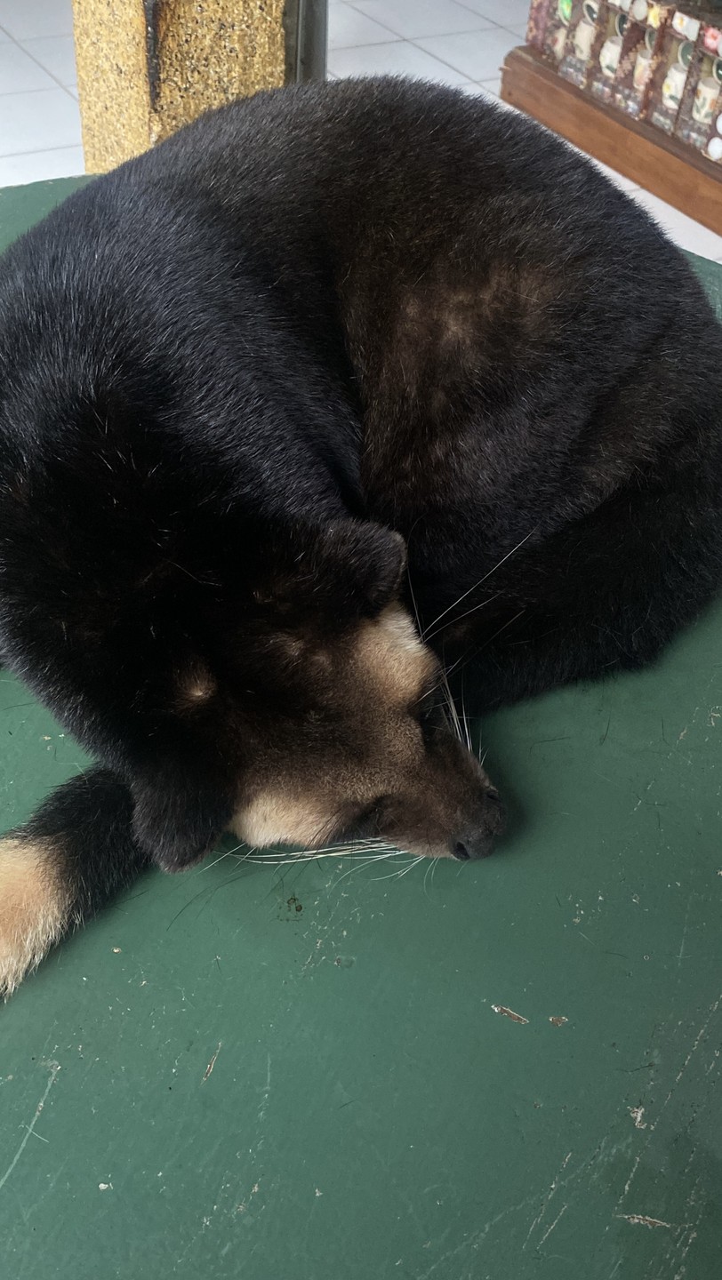 Бали, который вы ждёте (Мария)