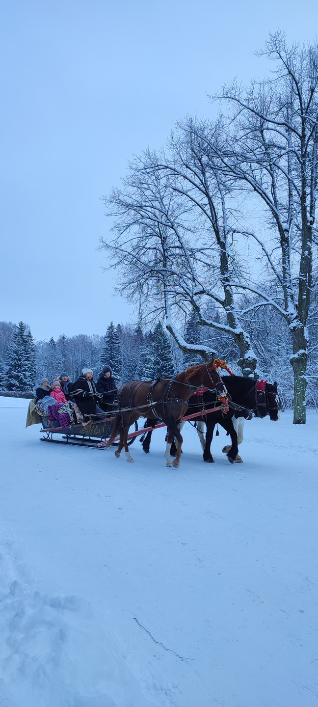 Семейная экскурсия-квест по Павловскому парку (Ольга)