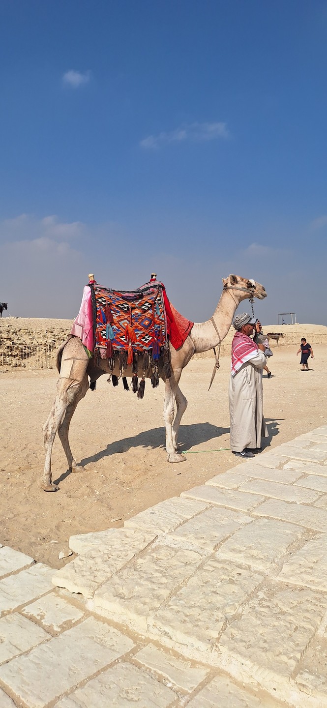 Экскурсия 2 дня в Каире. Нас сопровождал экскурсовод Бишой. Очень эрудированный, грамотный, с хорошим знанием истории