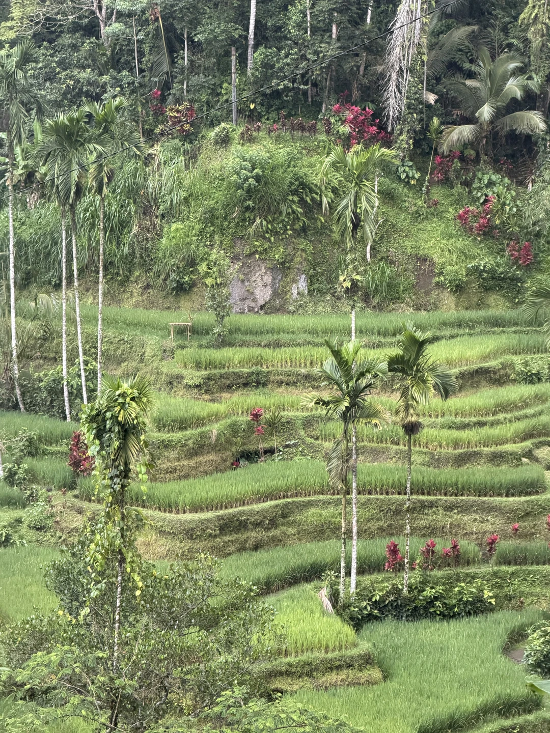 У нас был гид Вин, очень хорошо говорящий по русски! Все было супер! Экскурсия была организованна