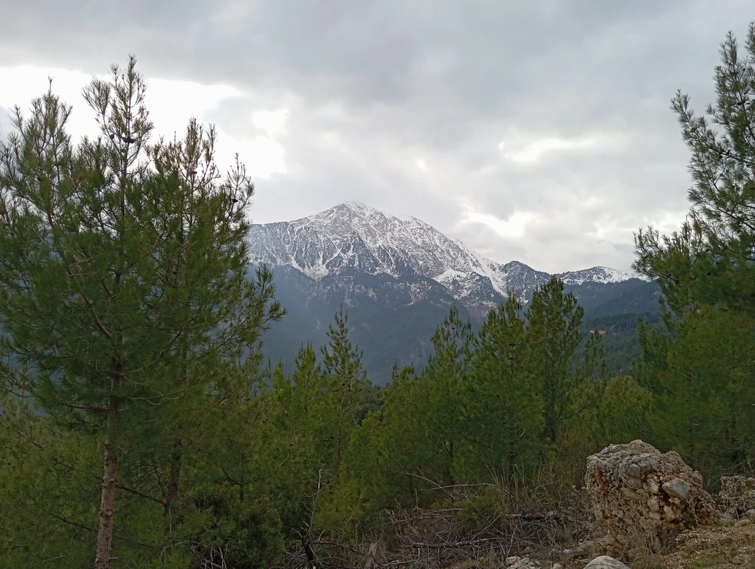 Поездка в горы с Алааддином стала лучшим событием нашего зимнего отдыха в Кемере