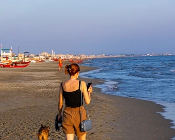 Самостоятельный отдых