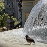 Фото отзыва 2: экскурсия "Сантьяго  — первая встреча"