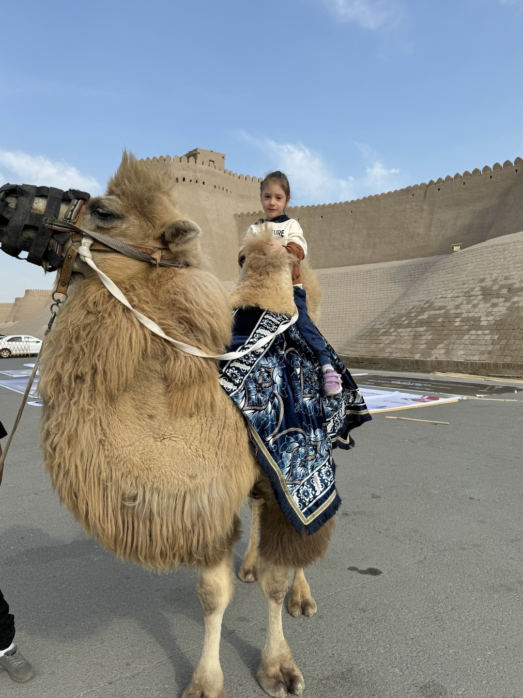 Хочу выразить благодарность гиду Раджабу. За чуткость и внимательное отношение. Очень интересно было слушать историю, делиться