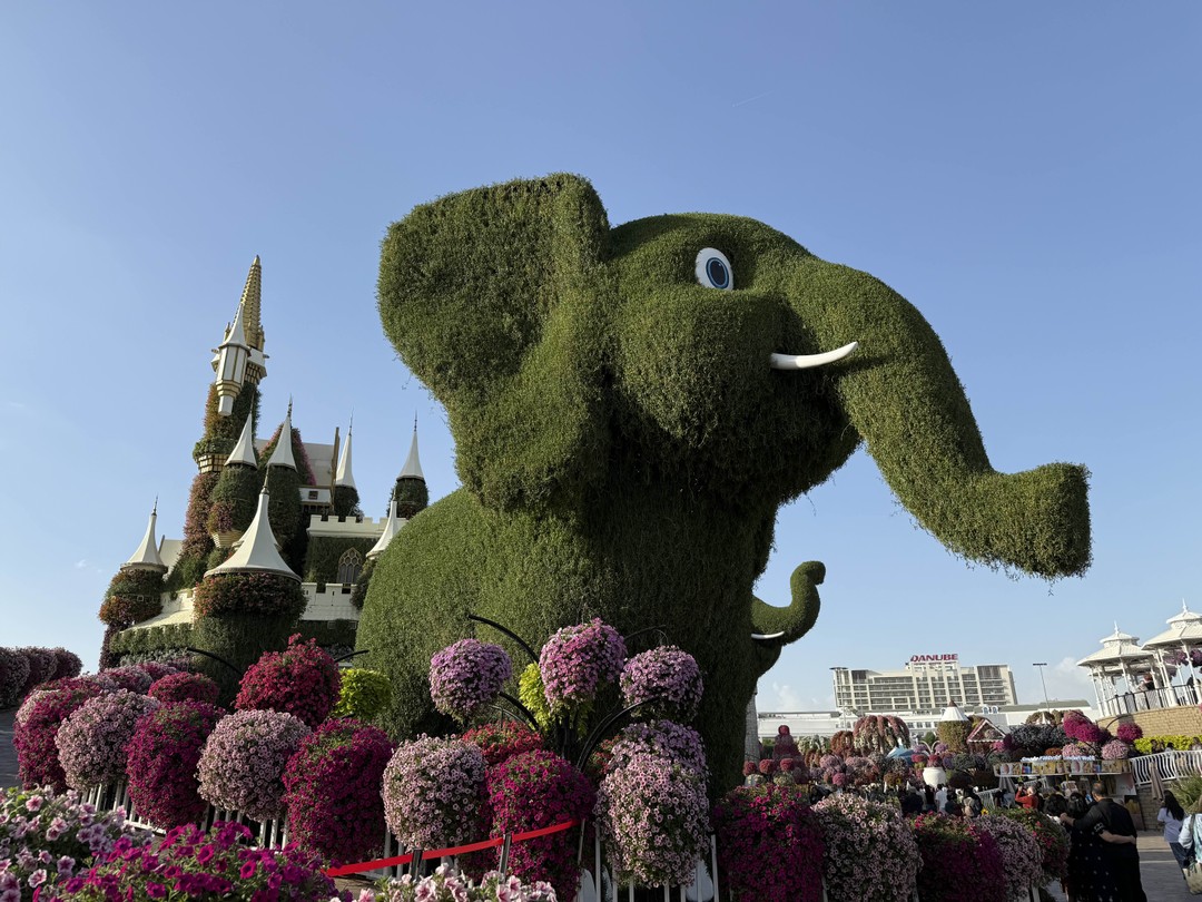 Всё супер! Миразис забрал нас от отеля на комфортном автомобиле в назначенное время. Прислушивался к нашим