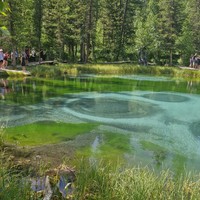 Фото отзыва 4: экскурсия "Из Новосибирска в Горный Алтай. Летнее путешествие по топовым локациям"